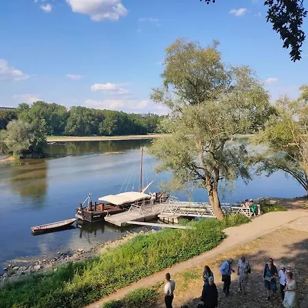 Superbe T2 Proche Cathedrale Et Loire *