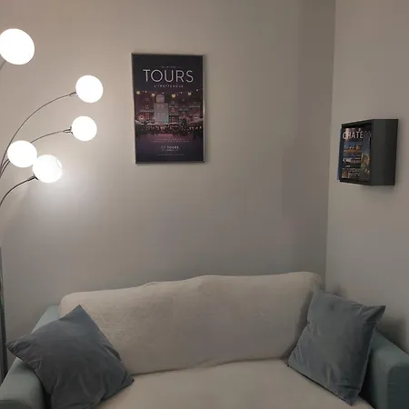 Apartment Superbe T2 Proche Cathedrale Et Loire Tours