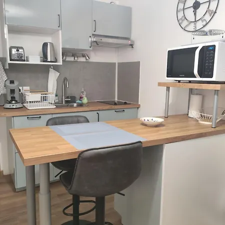 Superbe T2 Proche Cathedrale Et Loire Апартаменти