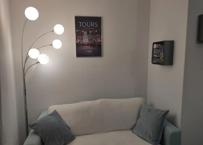 Apartment Superbe T2 Proche Cathedrale Et Loire Tours