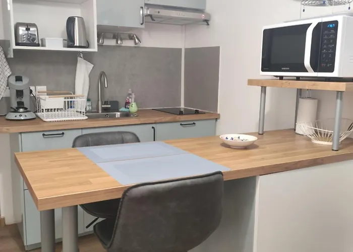 Superbe T2 Proche Cathedrale Et Loire Апартаменти